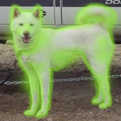 1600lights - Section 1