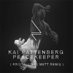 KAI PATTENBERG - PEACEKEEPER (DRUCKMITTEL REMIX) [FREE DL]