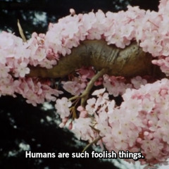 bazlow x darth haze - kyoto gardens.