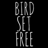 Sia Bird Set Free Cover Devin Joseph Miller Mp3