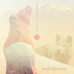Reefer deLuca || Undergroove Music || Slidewise EP taster