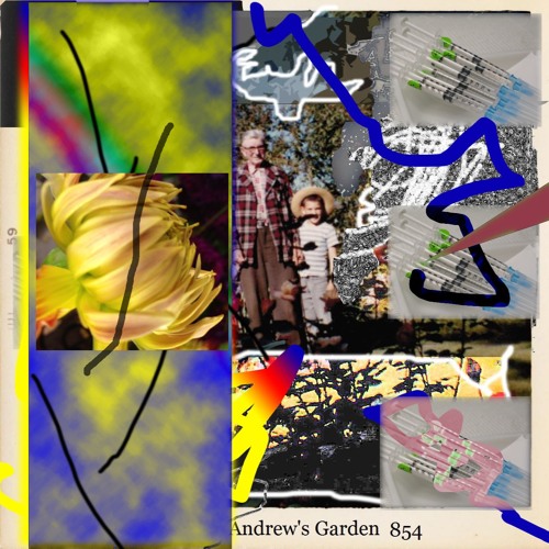 Stream Cradle Needle by Mr. Andrew's Garden Listen online for free on