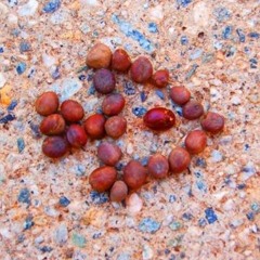 Baby Don't Run Away "Gerard Peters Remix"