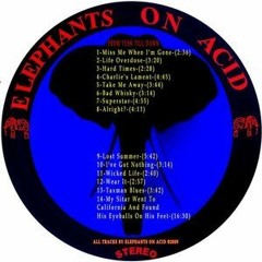 Rock N' Roll Is Back In The City - Elephants On Acid (2009)