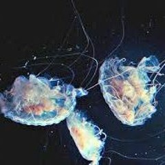 I Don't Got No Time 4 U (feat zay haze)