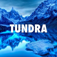 Rushh - Tundra .ProdByC00ltubeBeatz