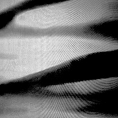 MS83 - transmissions