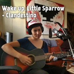 Wake up, Little Sparrow + Clandestino (mashup/cover)by Sara and Cristo
