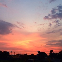 I Can't Make You Love Me By: Bon Iver COVER