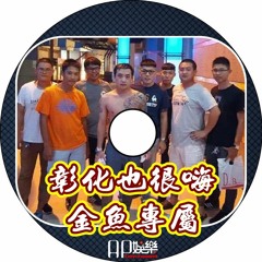 Ap娛樂 - 彰化也很嗨(金魚專屬)
