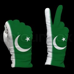 Main Bhi Pakistan Hun