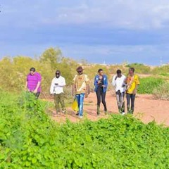 Shokrallah - Lolleta