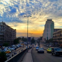 فيروز مرفرف الدلال - تراه