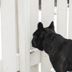 pent-up (alto sax & percussion)