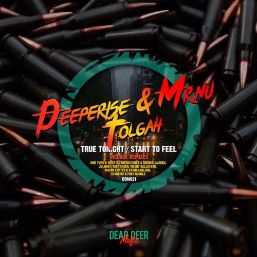 Deeperise & Mr.Nu, Tolgah - True Tonight (The Distance & Riddick Remix)