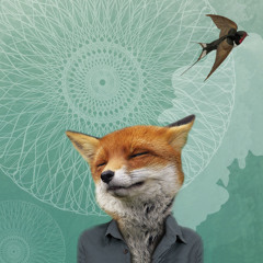 Arno - 2016.08.06 - Laba Daba (Good Nature)