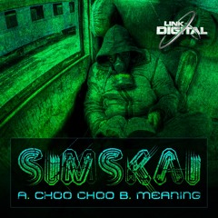 SIMSKAI - MEANING (OUT NOW)