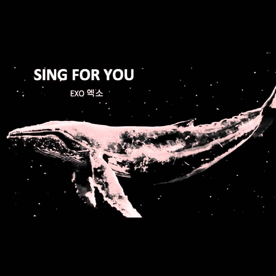 artworks-000175281197-bviv09-