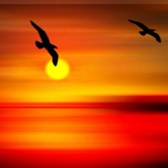 "Birds Flying In The Sunset"  Chill BoomBap Rap Beat - 01