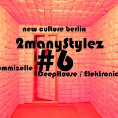 #6 Gummizelle - 2manyStylez - DJ Set (DH vs Electronica) .mp3