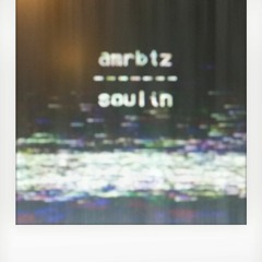 amrbtz - Soulin