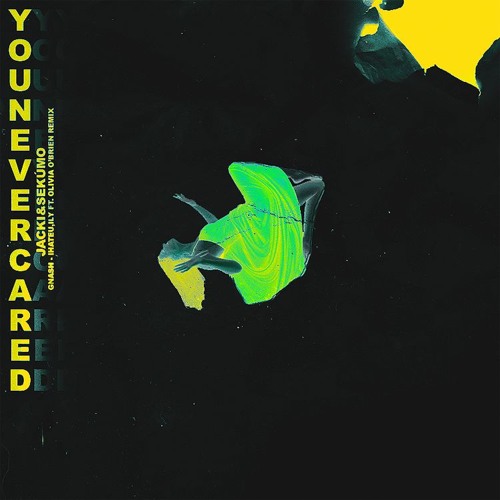 you never cared (ft. sekúmo)