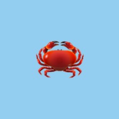 Find Your Inner Crab