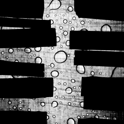 Counterpoint II