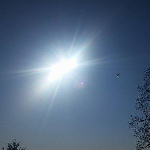 Nibiru