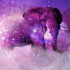 Trance — Set 6