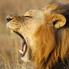 STBB492 - Hunt the Funk