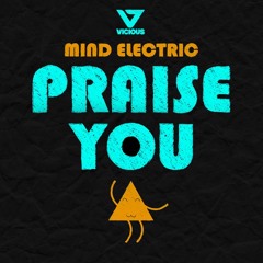 Mind Electric - Praise You (Radio Edit) [Stoney Roads Premiere]