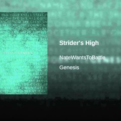 Strider's High - By NateWantsToBattle [FREE DOWNLOAD]