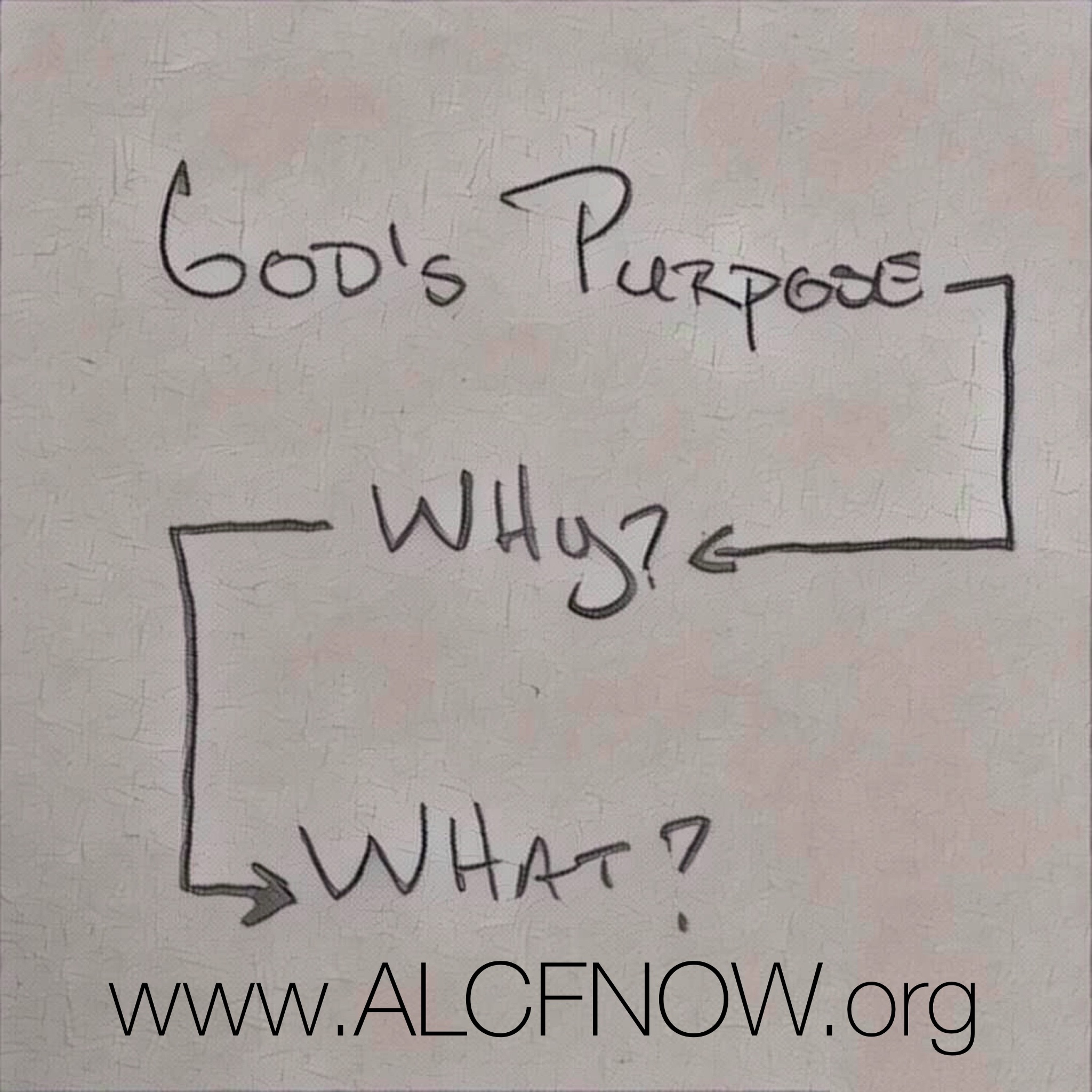 7/27/16 PM - The What, The Why & God's Purpose episode artwork