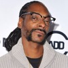 Railing Collapses at Snoop Dogg, Wiz Khalifa Concert, Injuring Dozens