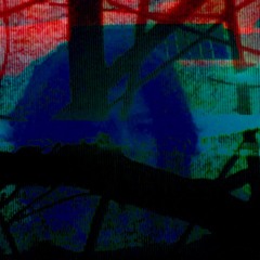 I Swear This is Everything