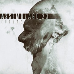 19. Ignorance [Mr.Kitty Rmx]
