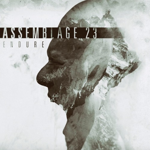 17. Bravery [Solitary Experiments Rmx]
