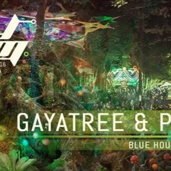 Gayatree Vs Psymbiosis @ Modem Festival 2016 Alternative Stage