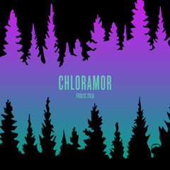 ChlorAmor - Live at Frolic Campout 2016