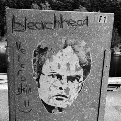 Bleachhead - Velcro Skin (Demo)