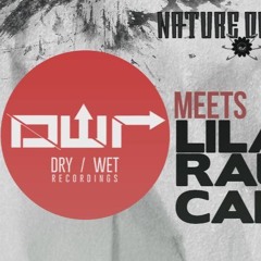 ANDRENALiN @ Nature One // D-W-R _ Camp  (o6.o8.16)