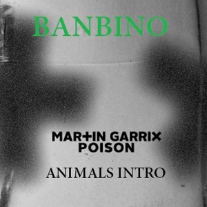 Animals (Martin Garrix Piano VIP Edit) | Track Analytics | Songstats