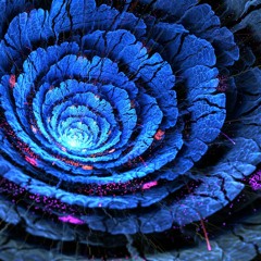 Psybient.org SC group - All mixes pt. 1
