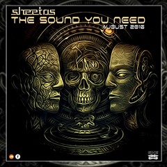 Sheetos - The Sound You Need 2016