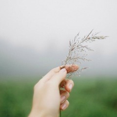 Xuân Hạ Thu Đông... Rồi lại Xuân!