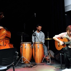 Les Douzilles (Ralph Towner) live by Pozzo, Galimany & Petrosini.