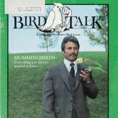 BirdTalk