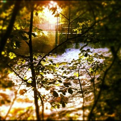 Trädet och skyn (text: Tomas Tranströmer)