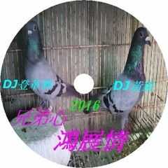 DJ登革熱＆DJ黃毅 2016 兄弟心 鴻展情